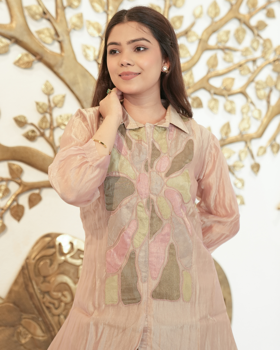 Neelgagan — Chikoo Appliqué Glass Crush Organza Co-ord Set