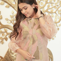 Neelgagan — Chikoo Appliqué Glass Crush Organza Co-ord Set
