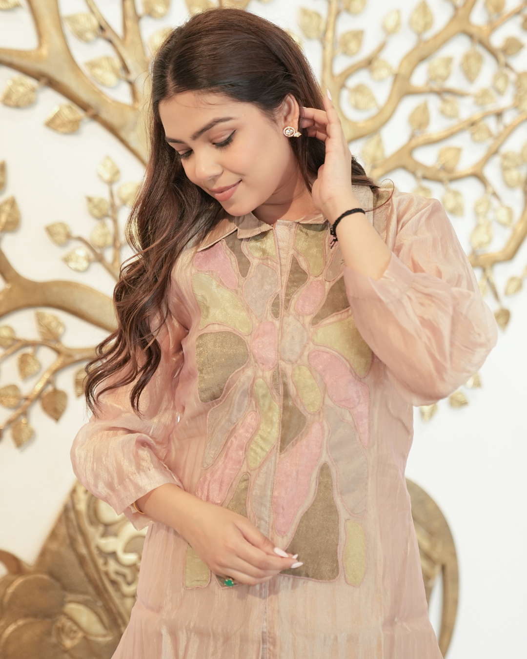 Neelgagan — Chikoo Appliqué Glass Crush Organza Co-ord Set